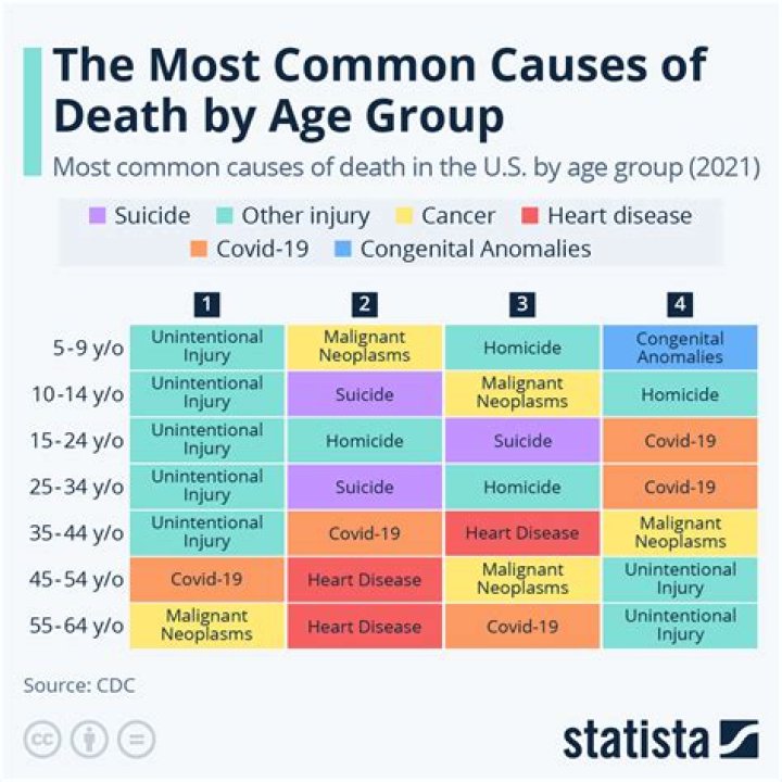 Cause Davian Nguyen Passed Away – Cause Of Death Suicide? Age And Instagram